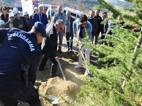 11 Kasım Milli Ağaçlandırma Günü